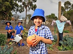 Healthy Together Wyndham: A growing trend | Recipe