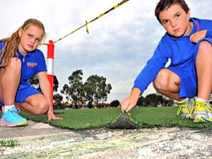 Thieves take the lawn into their own hands at Iramoo