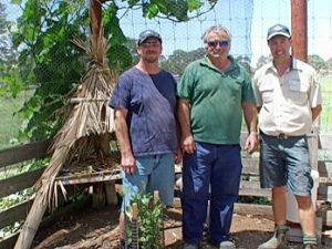Volunteers help to restore Werribee Park homestead