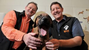 Werribee students add bark to their learning