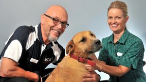 Healthy Together Wyndham: Council calls for help