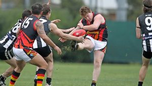 Wyndham Suns bucking the trend in first season
