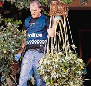 $2.8m drugs swoop cripples syndicate
