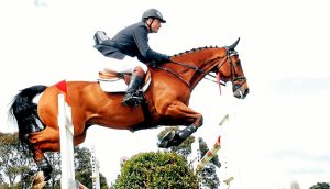 Show jumping championships hit Werribee Park