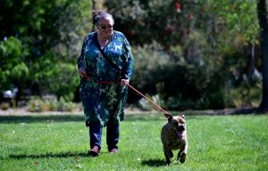 9Cautionary ‘tail’ 23Ready to run16 Inside Story25 28 Time OutWine2946 See & Do Sport 26Travel