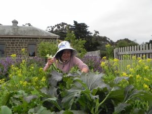 Garden refuge helps nourish refugees’ skills