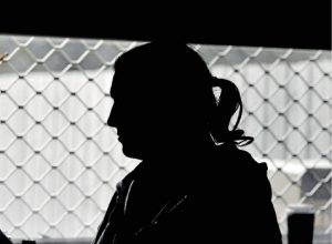 Telltale signs, so up spring the barriers