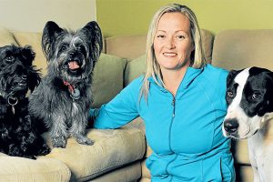 Point Cook off-leash park trial gives dogs their day