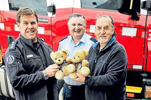Beary helpful in Point Cook