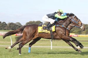 Careers: A life of pleasure and Payne