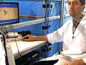 Anxious pooches put on the couch in Werribee