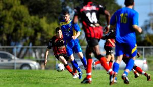 FFV: Bees on their knees as Magic casts its spell