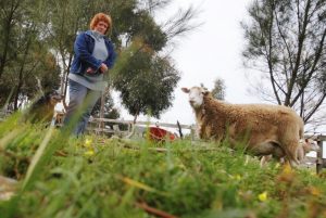 Wyndham landowners face new rates whammy