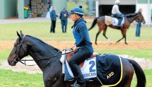 Melbourne Cup horses take to Werribee