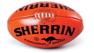 VFL: Tigers shuffle coaches in bid to go one better