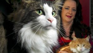 Spring fling for Show-offs