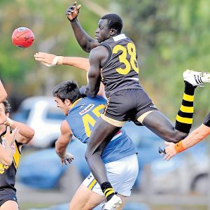VFL: Werribee Tigers falter in close derby