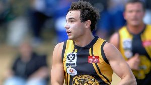 VFL: Huge weekend as Werribee Tigers celebrate their 50th, Hall of Fame