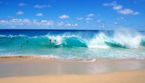 Campbells Cove nude ban plan slammed