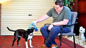 Unregistered dog fine ‘a mistake’, says Brookfield man