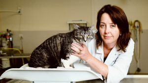 Fat-cat boot camp’s not on for plus-size pets