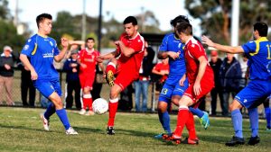FFV: Young Bees swarm into Victorian Premier League