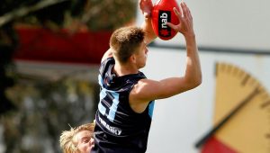 Western Jet Jayden Laverde shines, lands All-Australian selection