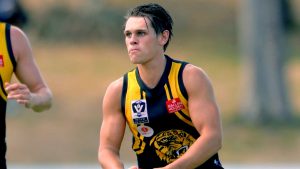 VFL: Werribee Tigers recapture magic against Geelong Cats