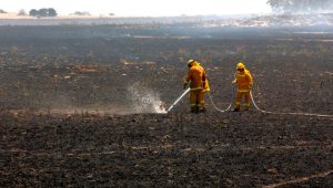 Local ‘adverse event’ role boost for Wyndham, Melton