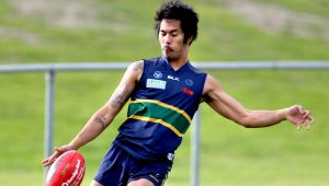 VAFA: It all figures as Warriors fail in bid for finals