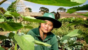 PROFILE: Garden helps Karen refugee grow