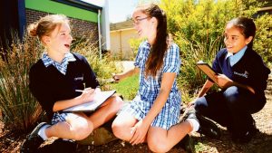 Lovestruck frogs on song at Carranballac College