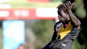 VFL: Toothless Werribee Tigers claw back some respect