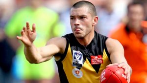 VFL: Werribee defies the doomsayers to make finals