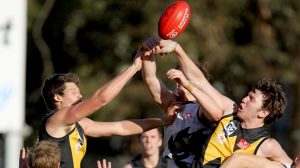 Gallery | VFL: Werribee v North Ballarat