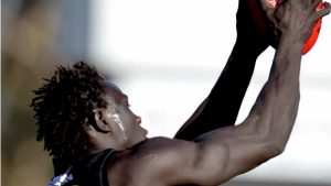 VFL: Werribee Tigers wobbles a worry for Lamont