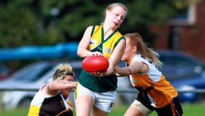VWFL: Wyndhamvale Falcons in first tilt at premiership