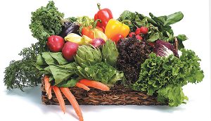 Food supply ‘at risk’ from urban growth, warn researchers