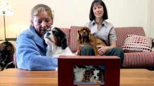 VET ANGEL: A graceful goodbye