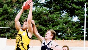WRFL: Team effort moves Werribee Districts to second