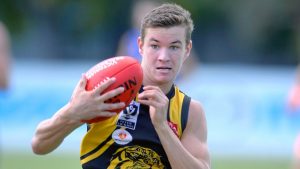 VFL: Werribee Tigers score a breezy win over Gold