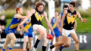 VFL: Tamed Werribee Tigers look to rebound against Essendon