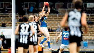 VFL review: Part-time Werribee Tigers impress