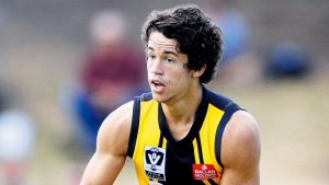 VFL: Werribee Tigers promise plenty despite loss to Hawks