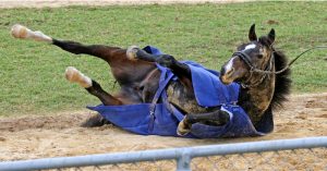 Noise wall to separate Werribee Racecourse and fitness centre