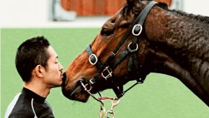 Werribee racecourse: Sparrows, trainers, horses start day at dawn