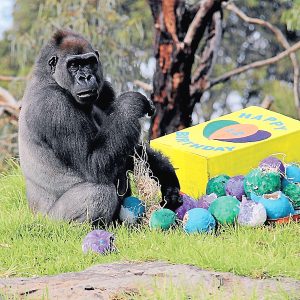 Ganyeka’s just havin’ a ball