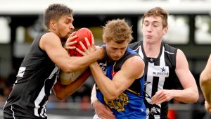 VFL: Gutsy Werribee Tigers fall to Collingwood