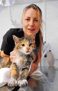 Draining day for moggy in Laverton North factory