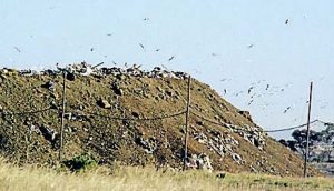 Call to stop Werribee’s 45-metre mountain of trash